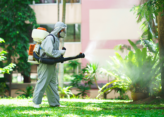 Pest Control